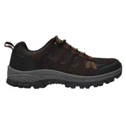 Denali Alpine Low Men's Hiking Boots