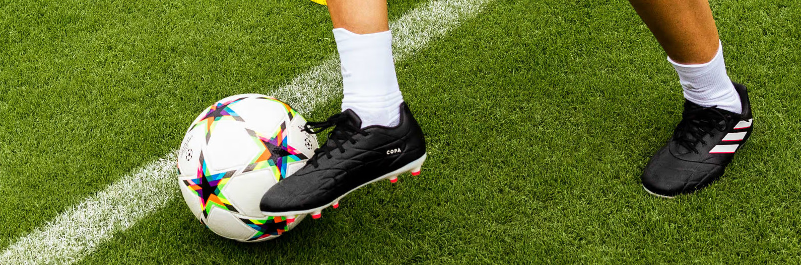 Best Footwear Shop -Best Footwear Shop dfdgfg